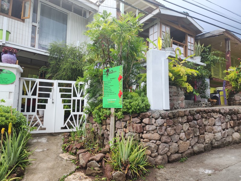 Bac 2 My Roots Spatique Entrance