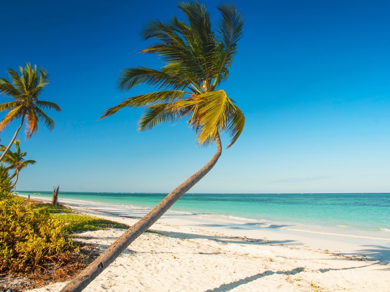 Strand-Sansibar-Tansania