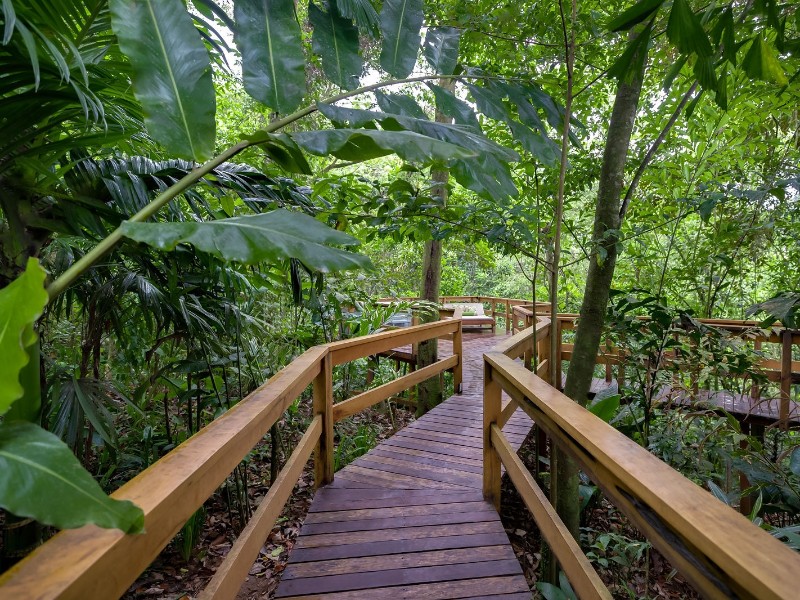 Chachagua Rainforest Hotel 