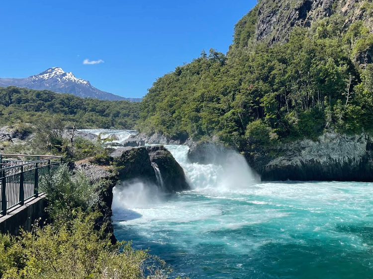 Nationalpark Vicente Pérez Rosales