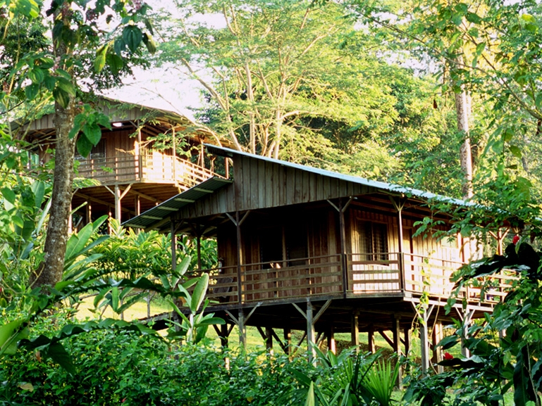 Selva Bananito Lodge - Bungalows