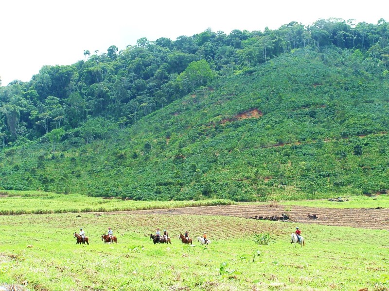 Reittour - Turrialba