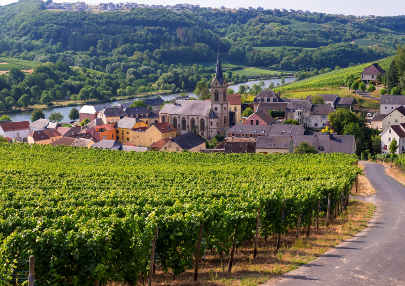 Moselle Valley