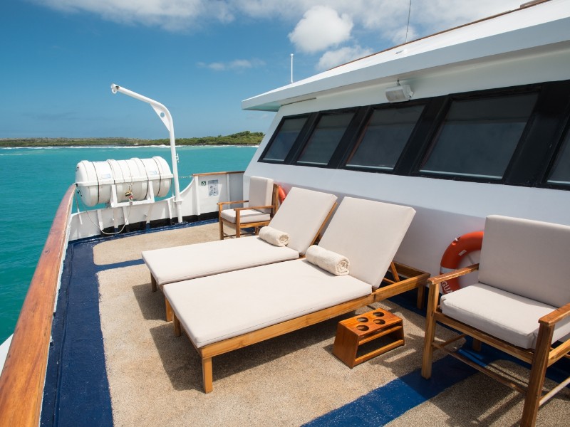 Der perfekte Tierbeobachtungsposten