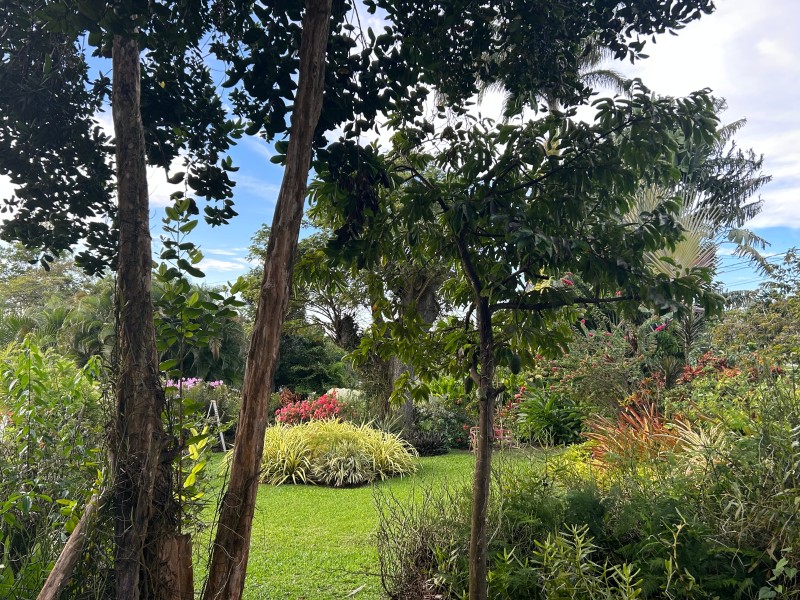 Smithy's Garden Flowers