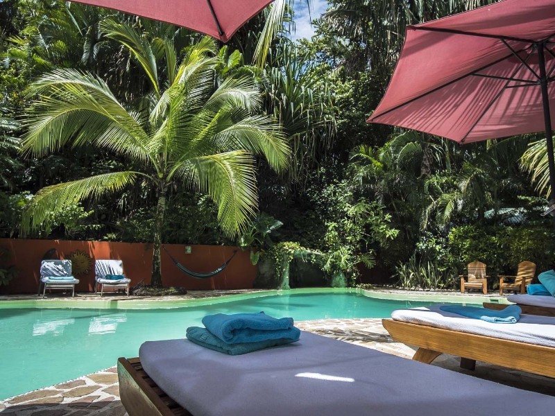 El Pequeño Gecko Verde - Pool