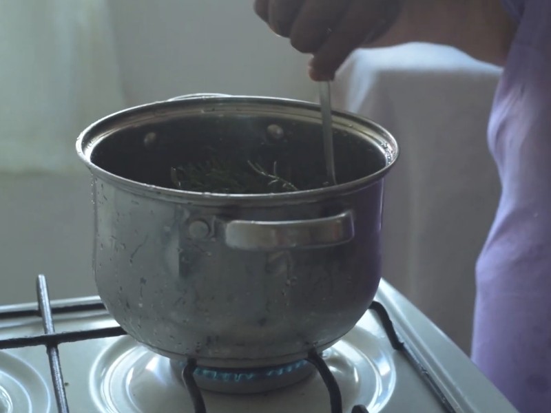 Quitirrisí medicinal herbs