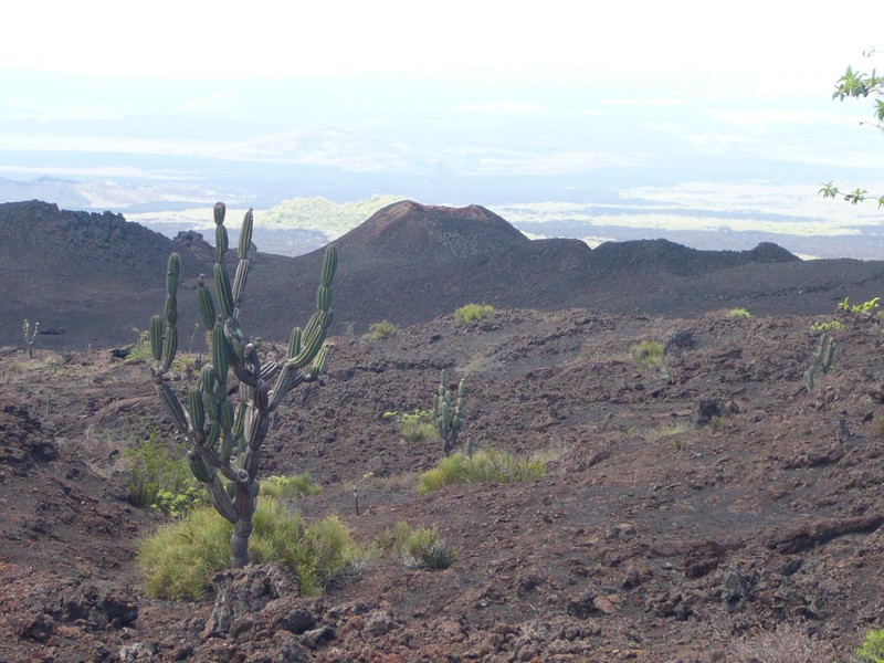Lavalandschaft am Vulkan Chico