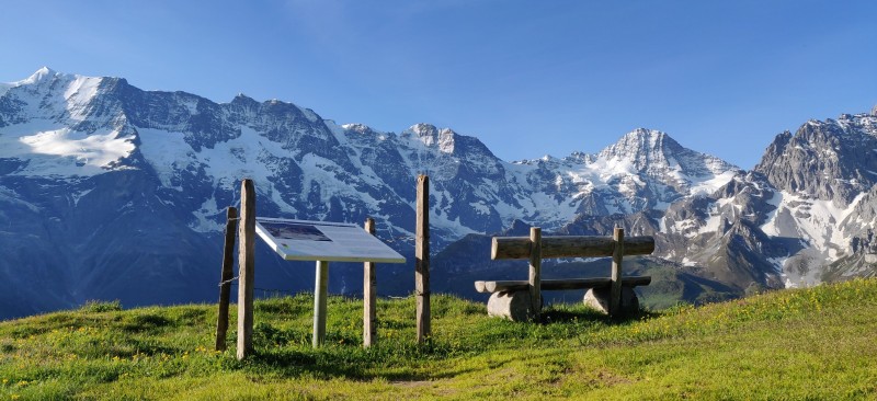 The Northface Trail