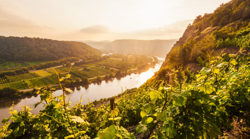 Moselle Valley