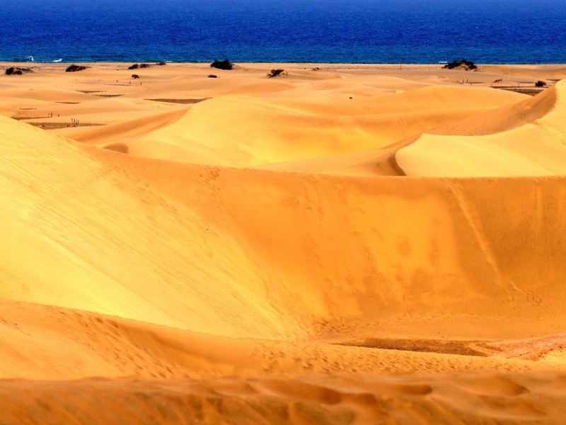 Spanien - Teneriffa & Gran Canaria entdecken
