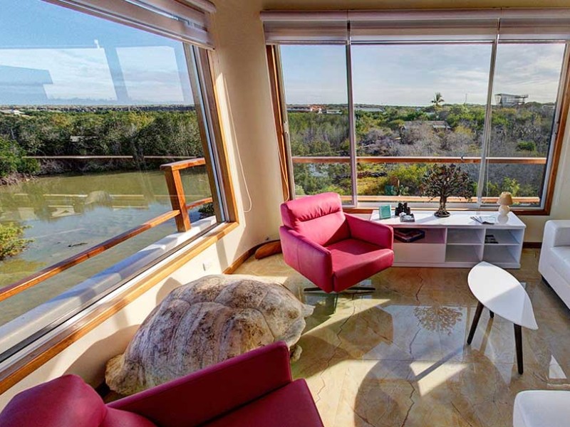 Incredible Views Over the Mangroves