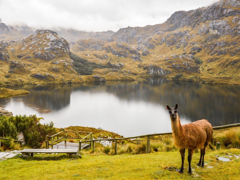 Ecuador - El Cajas NP