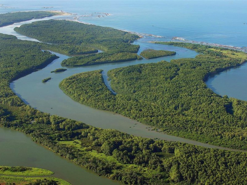 Sierpe - Feuchtgebiet Mangroven