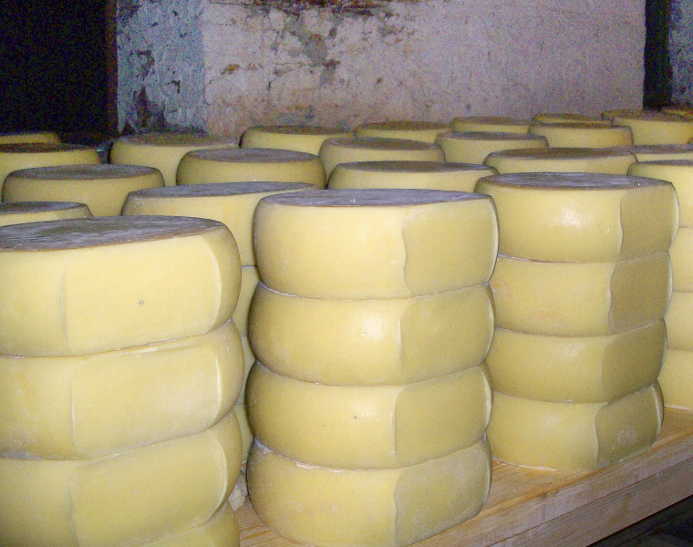 Romanian Cheese