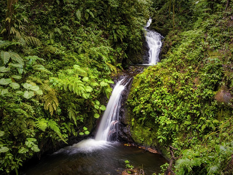 Costa Rica - Monteverde
