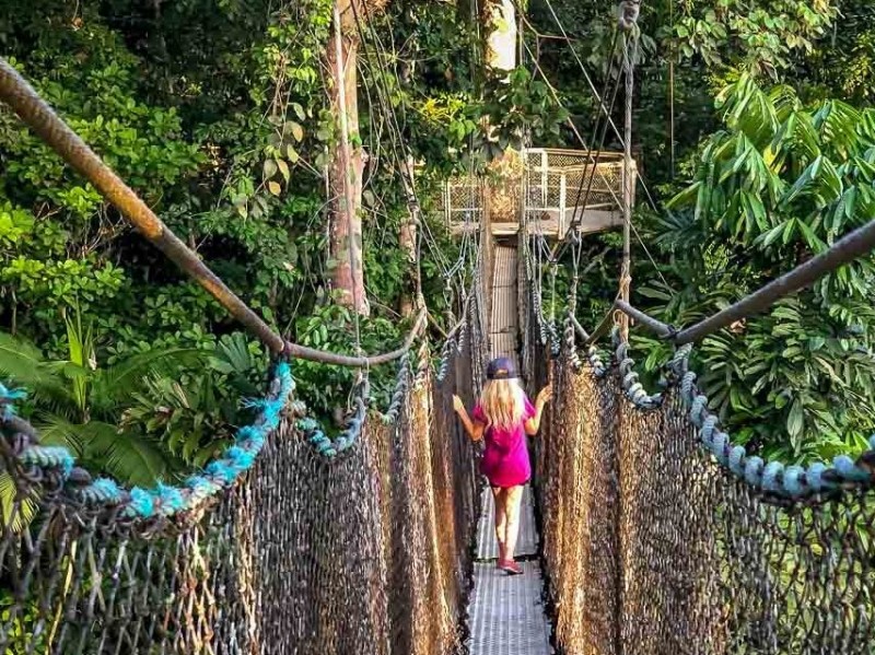 Iwokrama Canopy
