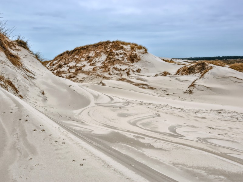Sand Dunes