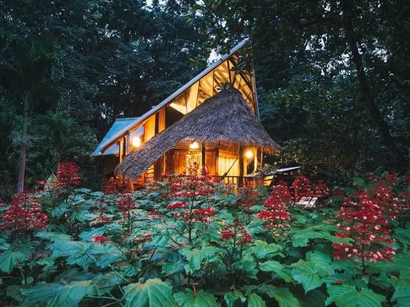 Tree House Lodge - Abendstimmung