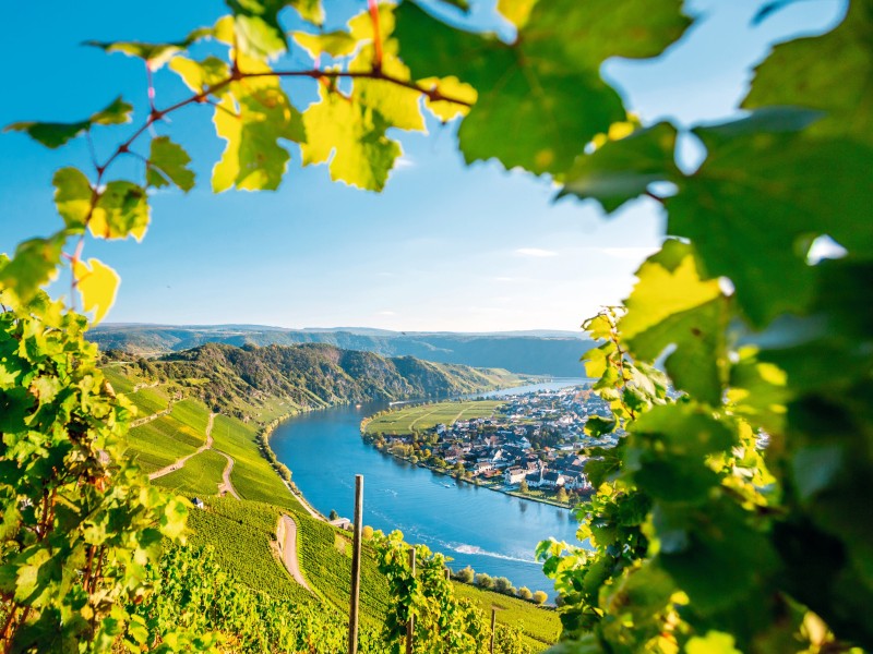 Germany - Mosel