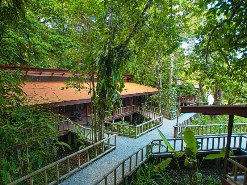 Evergreen Lodge - Standard