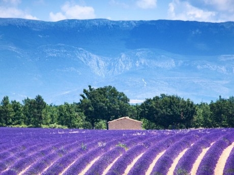 France - Saint-Rémy-De-Provence
