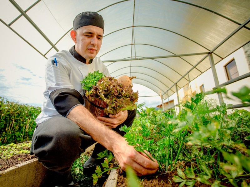 Casa Luna - Kräutergarten