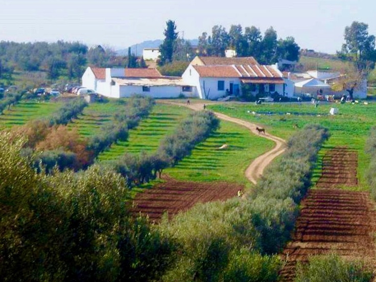 Lamia's Farmhouse