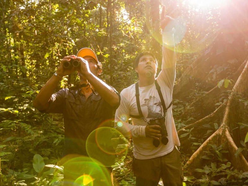 Posada Amazonas - Auf Urwaldexkursion