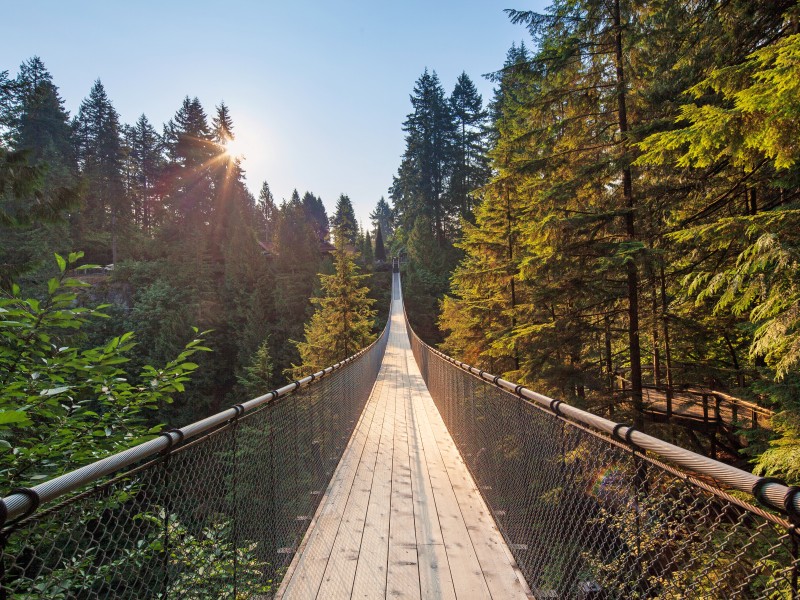 Canada - Vancouver - Capilano suspen. br
