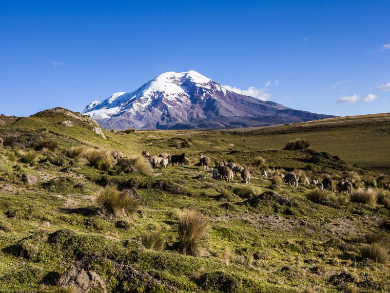 Ecuador - Chimborazo