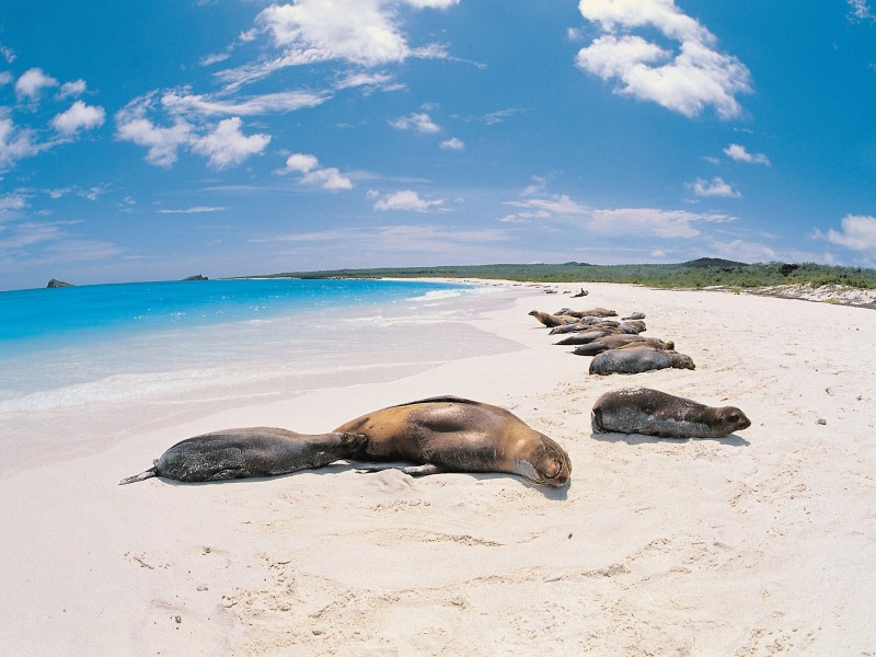 Ecuador - Galapagos