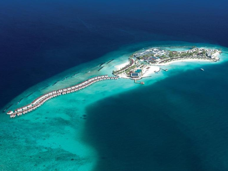 The caption of the picture to be shown