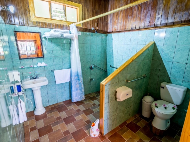 Sueños del Bosque - Standard