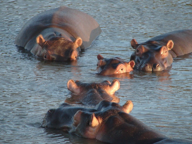 South Africa - St.Lucia