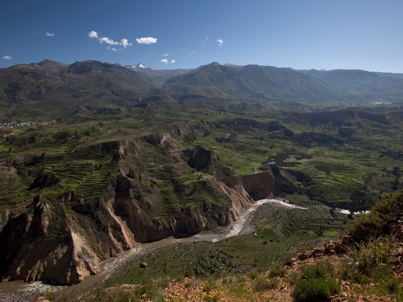 Colca Canyon 