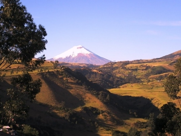 Andean páramo surrounding Rumipamba