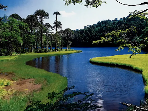 Conguillío National Park