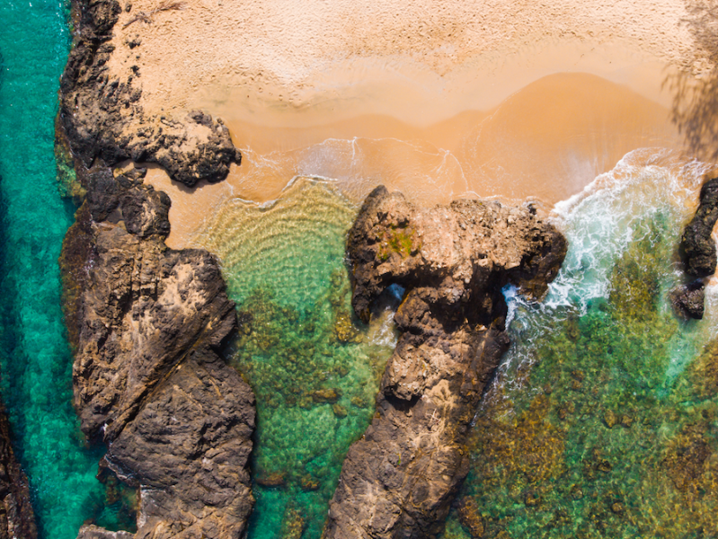 Tobago: Island Girl Tours