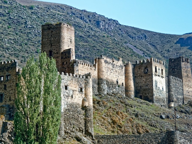 Georgia Castle