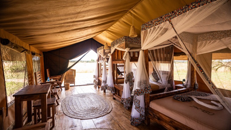 Africa Safari Ikoma Safari Family Comfort