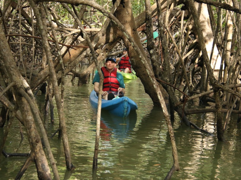 Kayaktour - Manuel Antonio