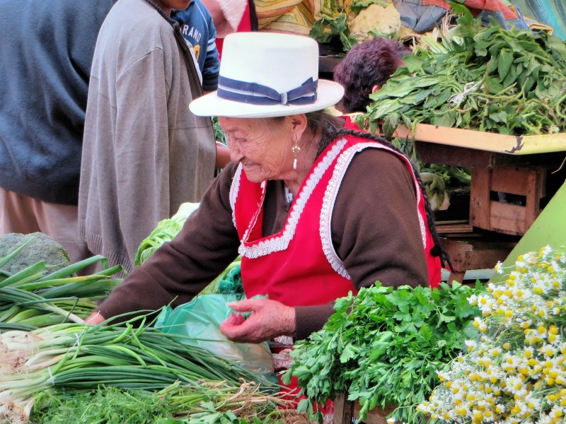 Ecuadorian market