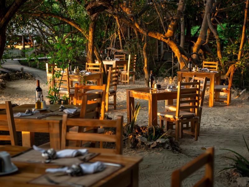 Coralina Island - Restaurant