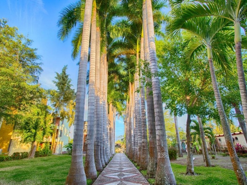 Garza Canela - Garten