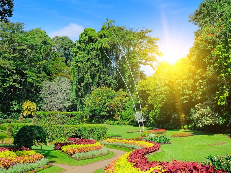 Royal Botanical Gardens