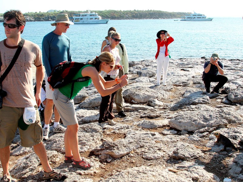 Discover the Islands