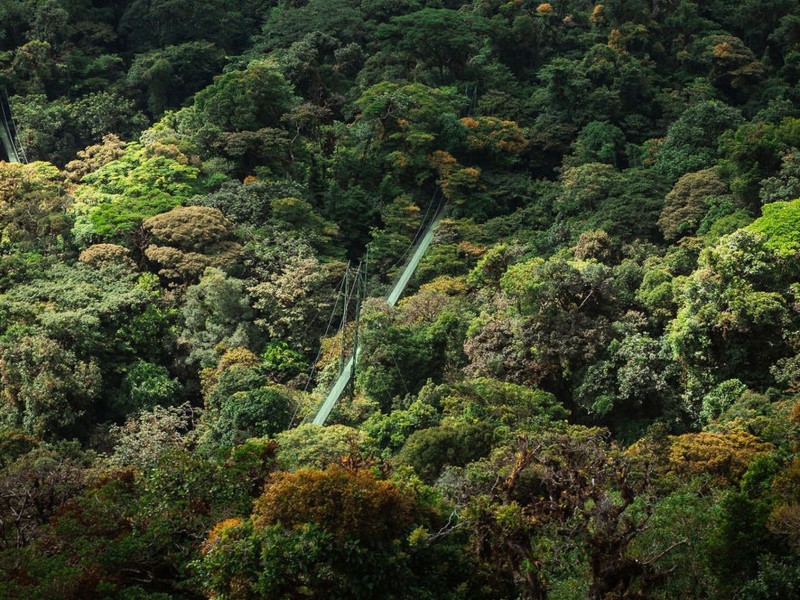 Monteverde - Sky Walk