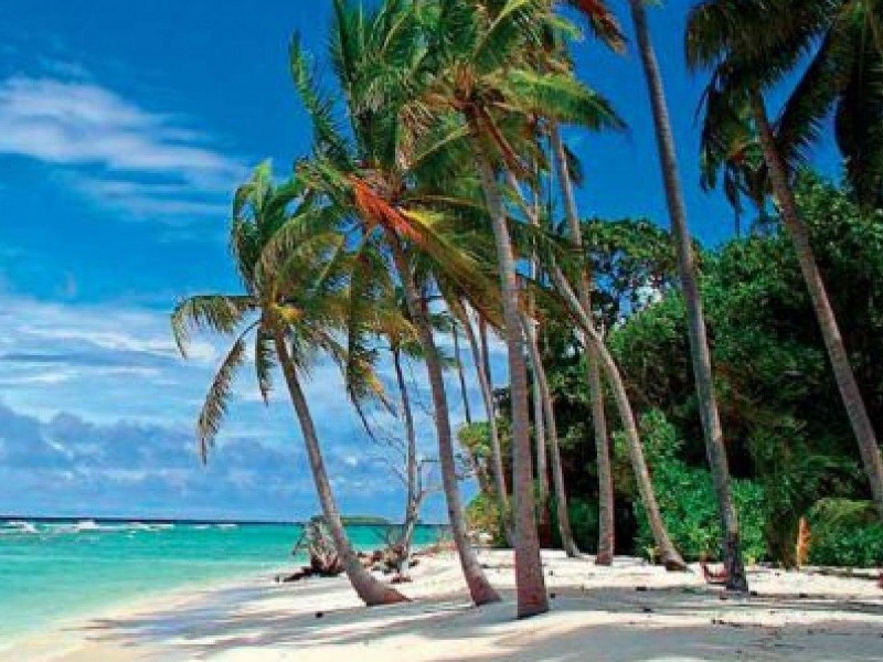 Sunset on the Beach  Barbados