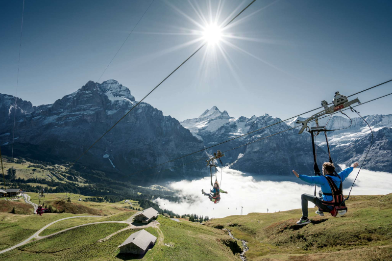 First Flyer Grindelwald